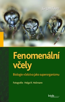 Fenomenální včely (Jürgen Tautz)