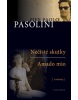 Nečisté skutky Amado mio (Pier Paolo Pasolini)