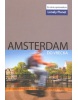 Amsterdam do vrecka (Damien Simonis)