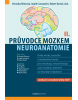 Průvodce mozkem - Neuroanatomie II. (Veronika Němcová; Ingrid Concepción; Robert Bartoš)