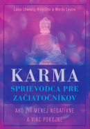 Karma Sprievodca pre začiatočníkov (Lama Lhanang Rinpočhe; Mordy Levine)