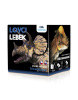 Lovci Lebek - Triceratops