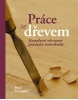 Práce se dřevem (Paul Forrester)