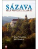 Sázava (Josef Somr)