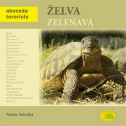 Želva zelenavá (Nataša Velenská)