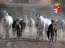 Národní hřebčín Kladruby nad Labem National Stud Farm at Kladruby nad Labem (Dalibor Gregor; Milan Vítek)