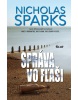 Správa vo fľaši (Sparks Nicholas)