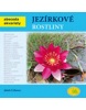 Jezírkové rostliny (Jakub Urbanec)