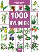 1000 Byliniek (Kolektív)