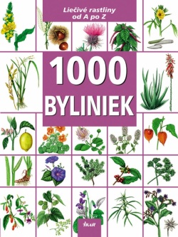 1000 Byliniek (Kolektív)