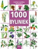 1000 Byliniek (Kolektív)