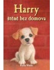 Harry štěně bez domova (Holly Webb)