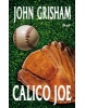 Calico Joe (John Grisham)