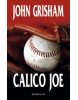 Calico Joe (John Grisham)