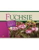 Fuchsie (Nico Vermeulen)