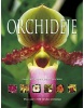 Orchideje (Isobyl la Croix, Ned Nash)