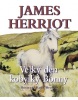 Velký den kobylky Bonny (James Herriot)