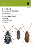 Brouci čeledi červotočovití (Ptinidae) (Petr Zahradník)