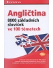 Angličtina 8000 základních slovíček ve 100 tématech (Hofmann H.G.,Hofmann M.)