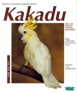 Kakadu (W.a S. Lantermannovi)