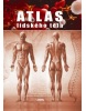 Atlas lidského těla (Jordi Vigué)