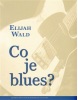 Co je blues? (Elijah Wald)