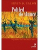 Pohled do slunce (Irvin D. Yalom)