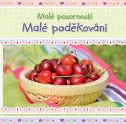 Malé poděkování (autor neuvedený)