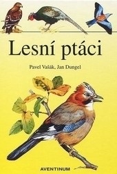 Lesní ptáci (Rudolf Hrabák)