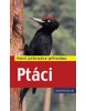 Ptáci (Volker Dierschke)