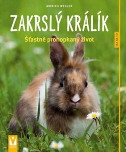 Zakrslý králík (Monika Wegler)