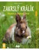 Zakrslý králík (Monika Wegler)