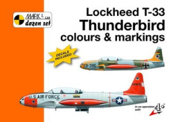 Lockheed T-33 Thunderbird (Karel Susa)