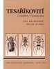 Tesaříkovití (Coleoptera: Cerambycidae) (Leo; Sláma Milan Heyrovský)