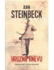 Hrozno hnevu (John Steinbeck)