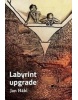Labyrint upgrade (Jan Hábl)