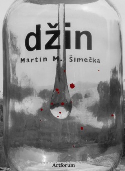 Džin (Martin M. Šimečka)