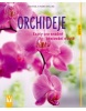 Orchideje (Frank Röllke; Kerstin Röllke)