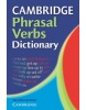 Cambridge Phrasal Verbs Dictionary 2nd Edition