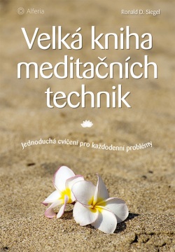 Velká kniha meditačních technik (Siegel Ronald D.)