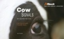 Cow signals (Jan Hulsen)