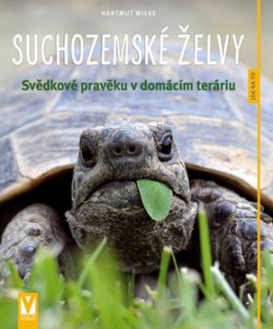 Suchozemské želvy (Hartmut Wilke)