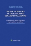 Soudní judikatura ve světle nového občanského zákoníku (Kolektiv autorů)