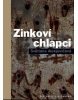 Zinkoví chlapci (Světlana Alexijevičová)