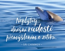 Magnet na lednici "Neplýtvej dnešní radostí..." (Sri Chinmoy)