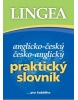 Anglicko-český česko-anglický praktický slovník