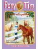 Pony tím Príliš veľa poníkov (Jeanne Betancourt)