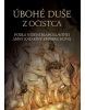 Úbohé duše z očistca (Anna Katarína Emmerichová)