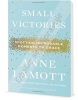 Malá vítězství (Lamottová Anne)