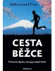 Cesta běžce (Adharanand Finn)